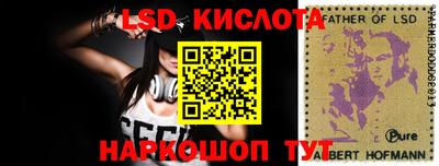 шишки Камышлов