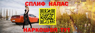 шишки Камышлов