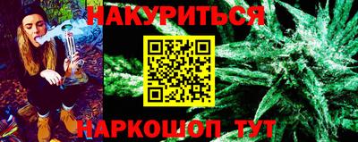 шишки Камышлов