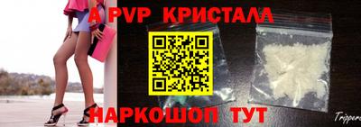 шишки Камышлов