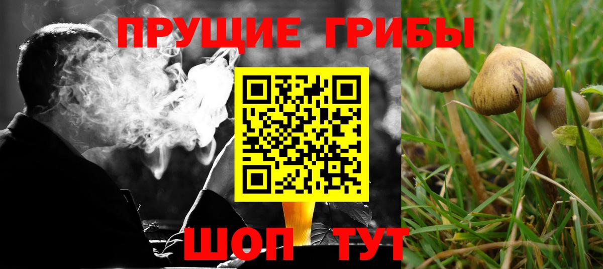 Галлюциногенные грибы ЛСД Тавда